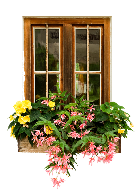 Teleflora E-Florist