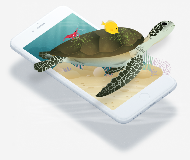 Coral Reef App