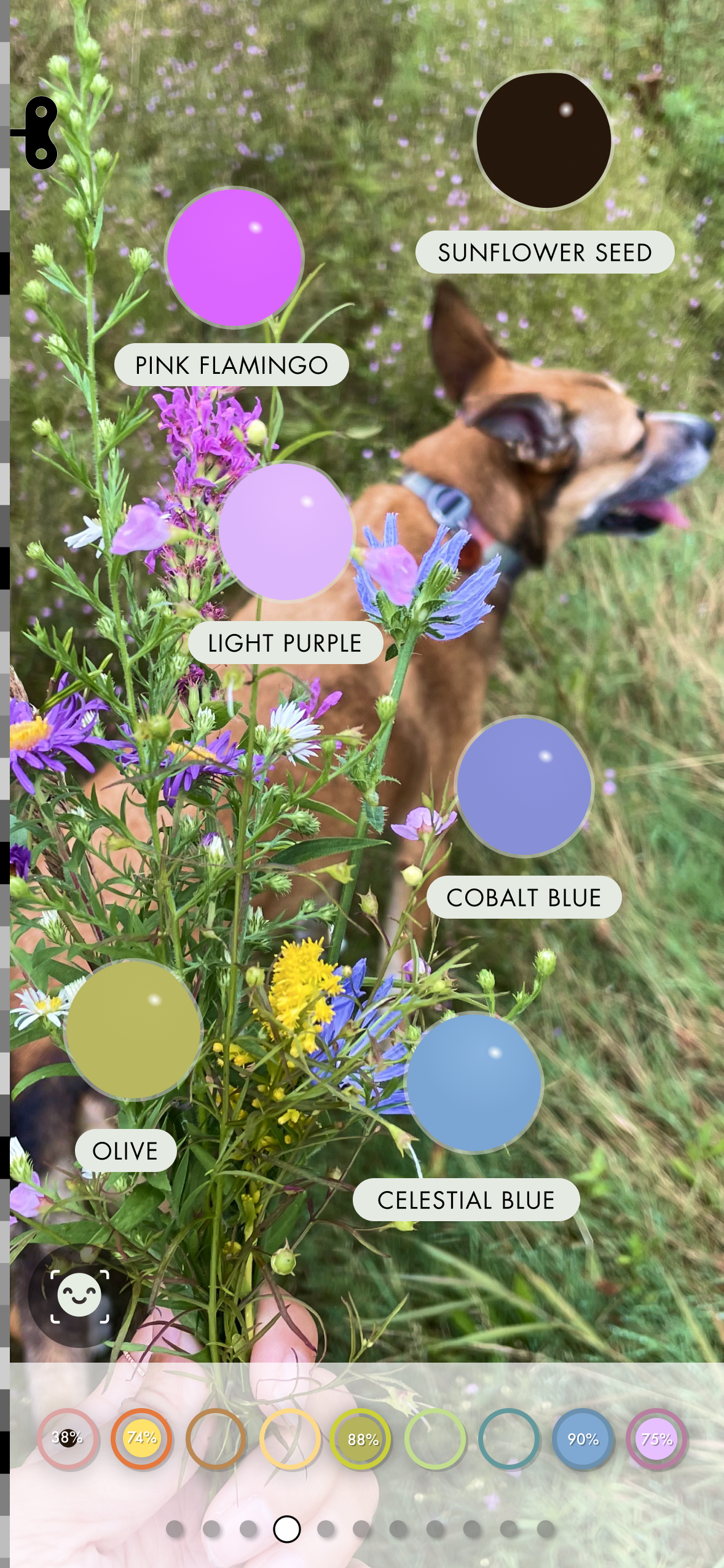 AR-ColorMatch
